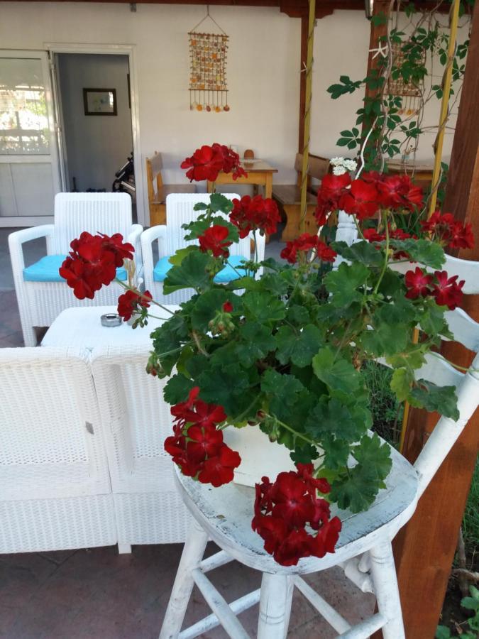 Alba Family Club Hotel Primorsko Luaran gambar