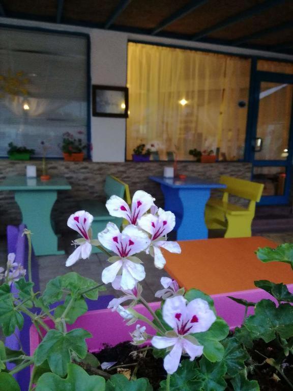 Alba Family Club Hotel Primorsko Luaran gambar